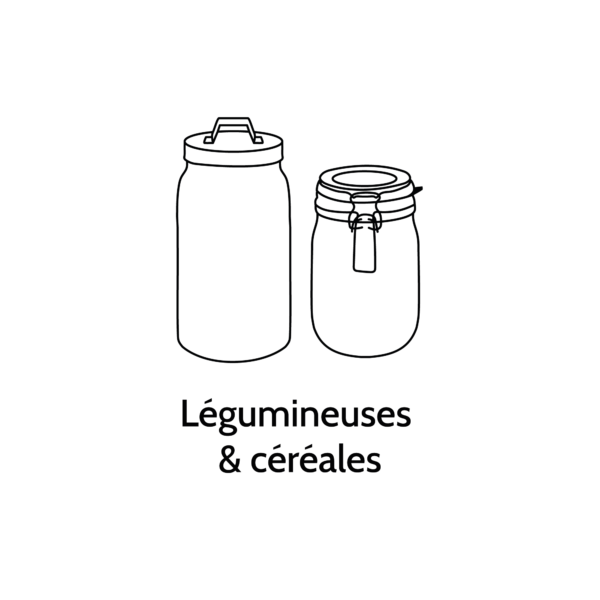 Legumineuses-600x600