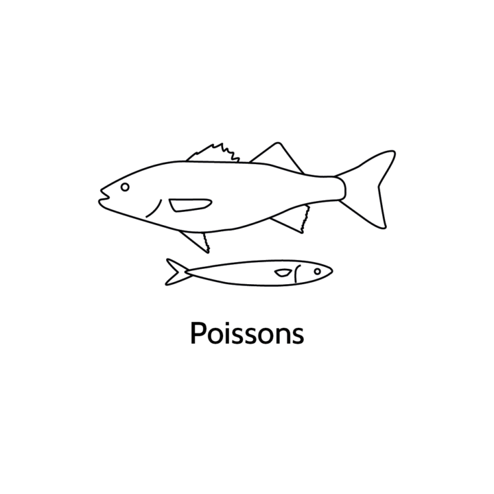 Poissons-720x720